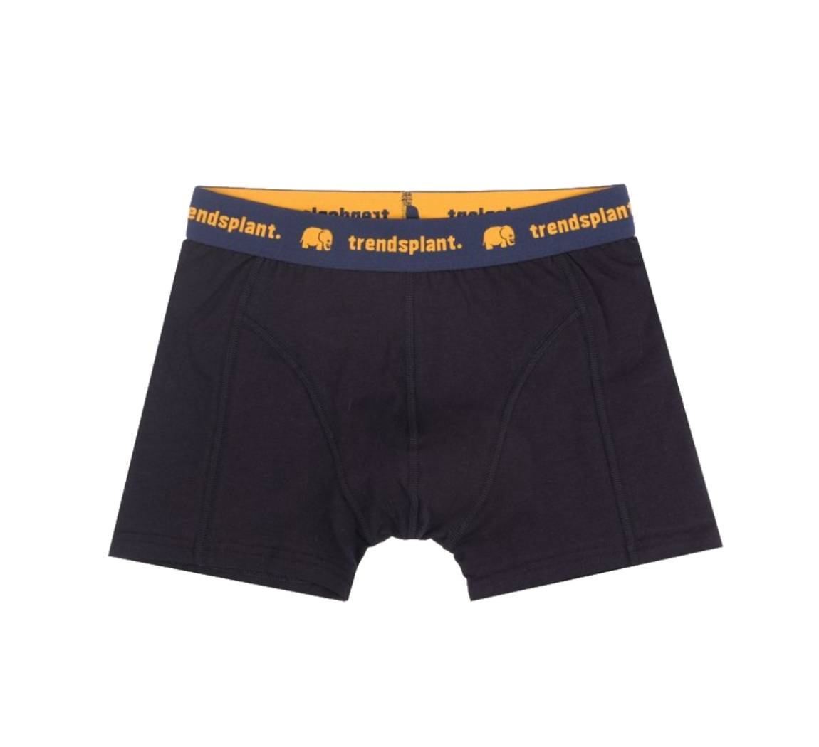 Vêtement Trendsplant Organic Essential Boxer Briefs